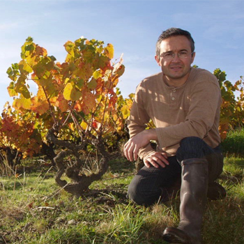 Aurélien Large Vigneron Récoltant