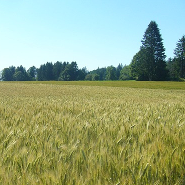 La Ferme de Miribel