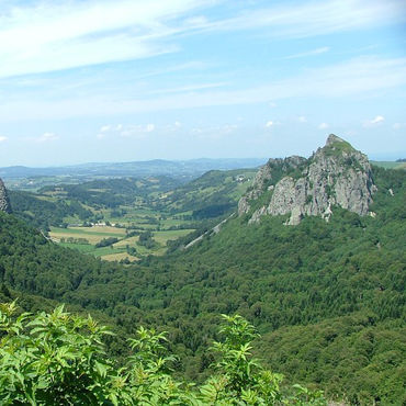 Ferme de la Jonquille